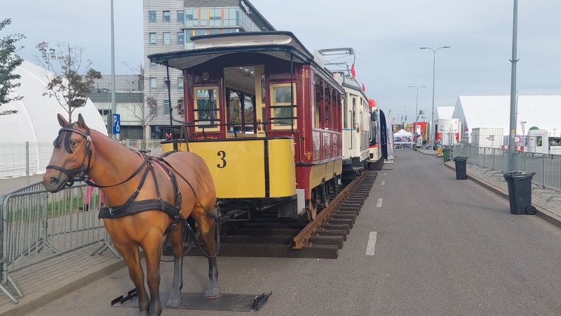 Zanim był napęd elektryczny (i trakcja) tramwaje ciągnęły konie!
