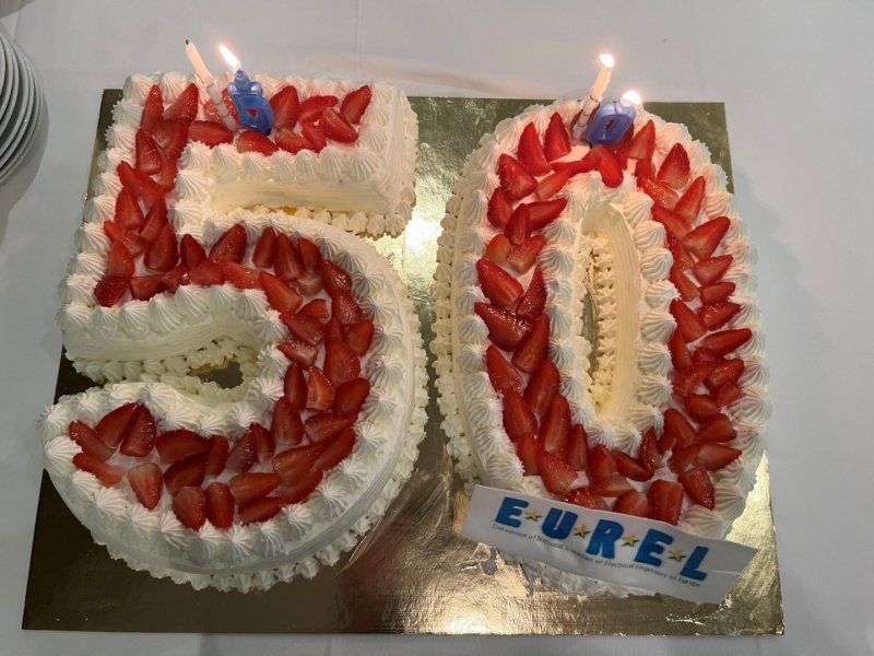 Tort urodzinowy - Jubileusz 50.lecia EUREL