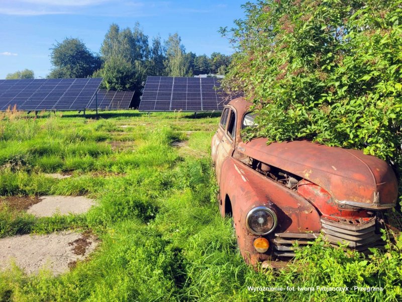 W - Fabjanczyk Iwona - Przegrana