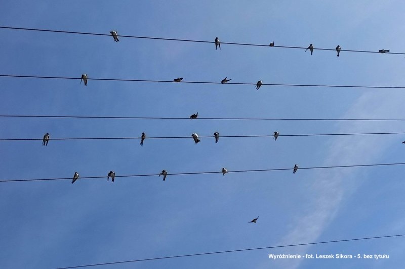 W - Sikora Leszek - 5